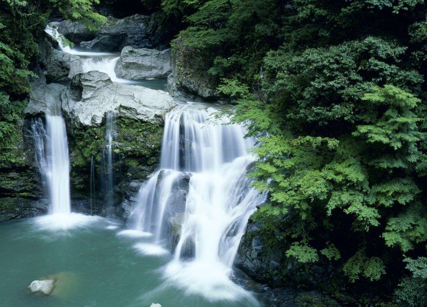 救援蝙蝠